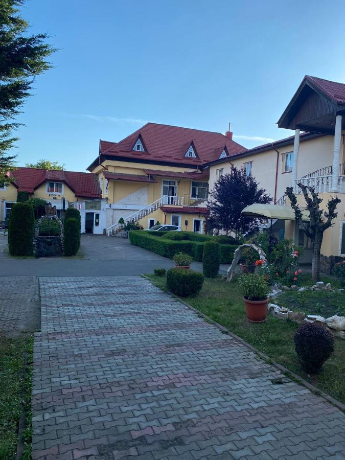 Pensiunea Viena Тыргу-Муреш Экстерьер фото